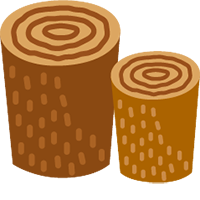 霊能者 スピリチュアルカウンセラー 加藤あや