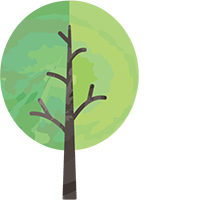 霊能者 スピリチュアルカウンセラー 加藤あや