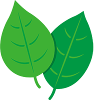 霊能者 スピリチュアルカウンセラー 加藤あや